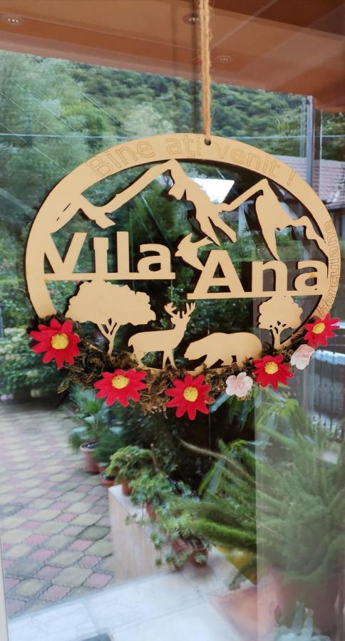 Vila Ana Băile Herculane Eksteriør billede